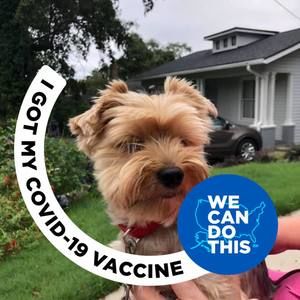 Meet your Posher, Karen